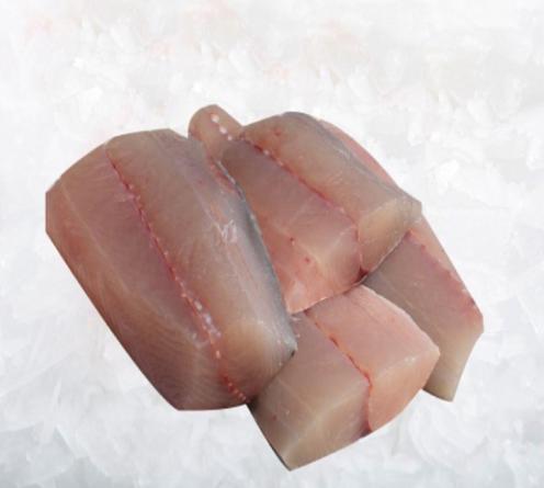 ماهی چنگو با ارزان ترین قیمت و بهترین کیفیت