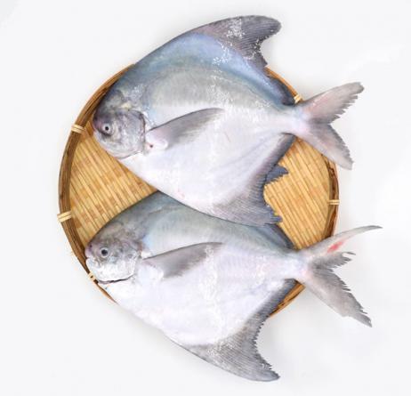 خرید آنلاین ماهی و میگو جنوب از طریق مراکز فروش معتبر