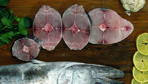مشخصات ماهی شیر تازه