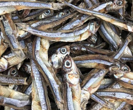 نحوه تشخیص ماهی خشک متو عمده باکیفیت
