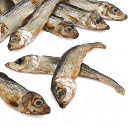 توزیع کننده ماهی خشک متو عمده جنوب
