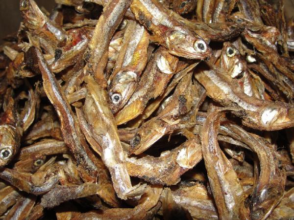 کاربرد ماهی خشک متوتا در صنایع مختلف
