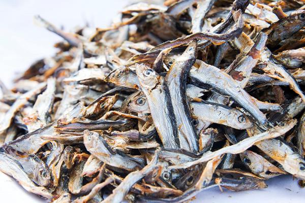 اطلاعات مفید درباره ماهی خشک متوتا صادراتی