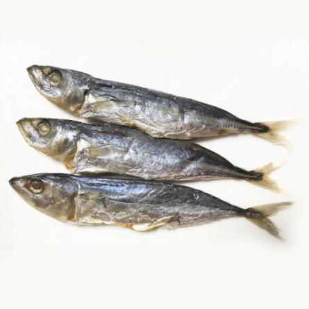فروش مستقیم ماهی خشک متوتا صادراتی