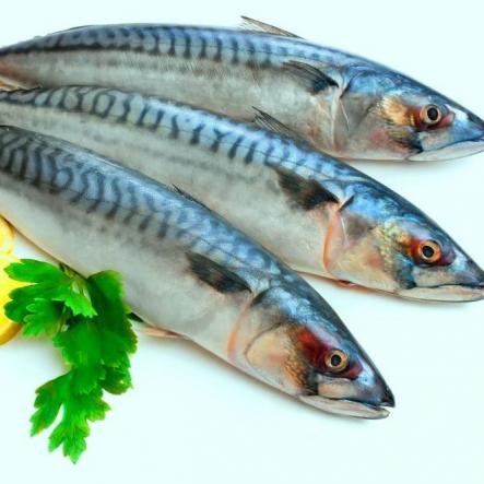 بهبود علائم آسم با مصرف ماهی