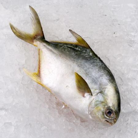 خواص ماهی برای سلامت بدن