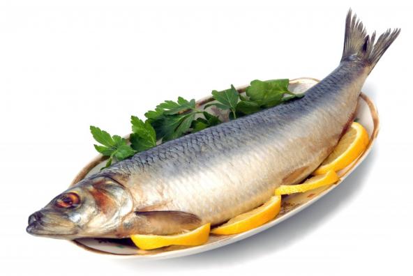 ماهی سرشار از مواد مغذی مهم است