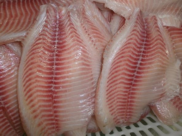 شرکت صادرات ماهی بدون استخوان جنوب