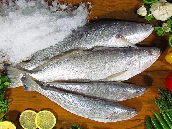 ماهی کیفیت اسپرم مردان را بالا میبرد
