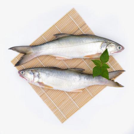 جلوگیری از زوال عقل با مصرف ماهی