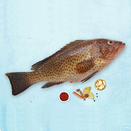 بررسی ارزش غذایی ماهی